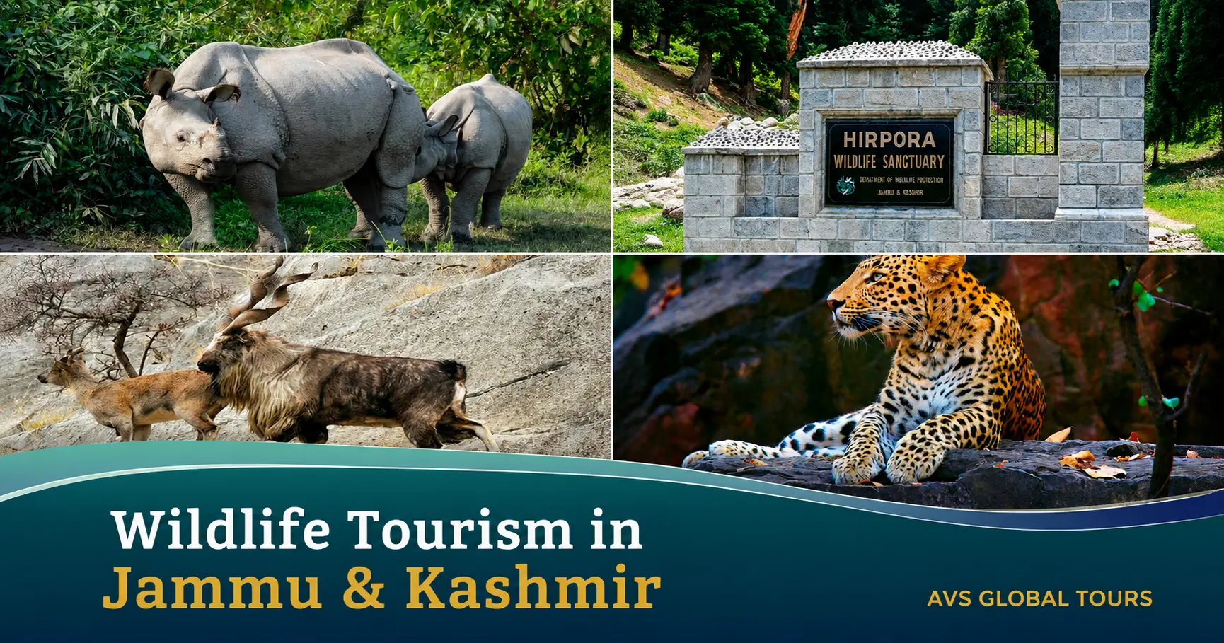Wildlife Tourism in Jammu & Kashmir