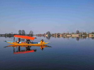 kashmir-dal-lake-shikara