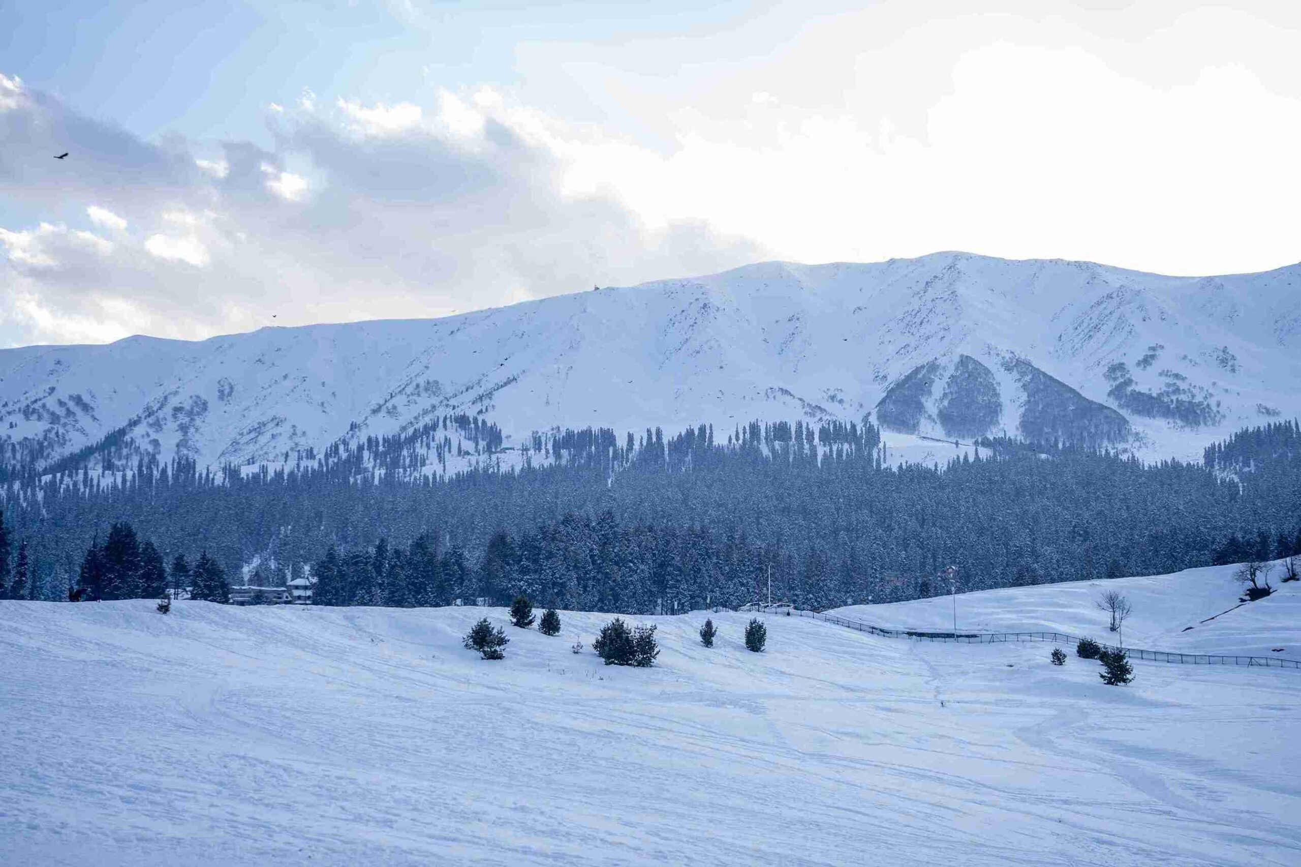 Gulmarg in Kashmir